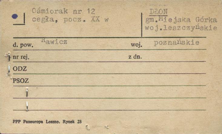 ośmiorak, skan 1