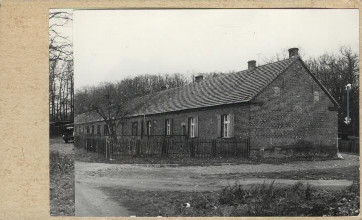 ośmiorak, skan 3