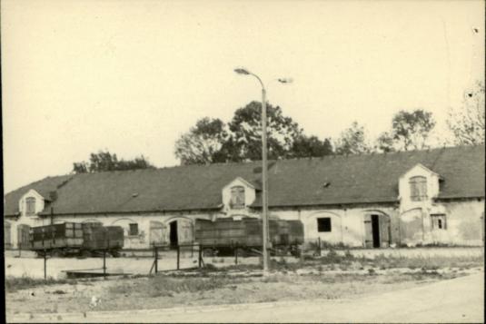 stajnia, skan 3