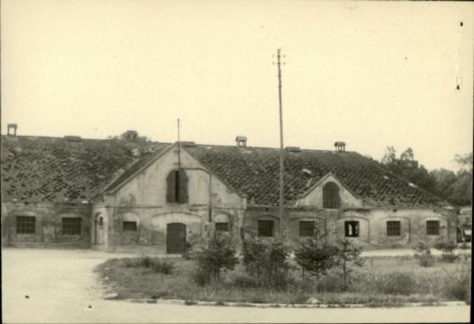 obora, skan 3