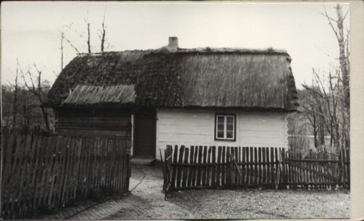 dom, skan 3