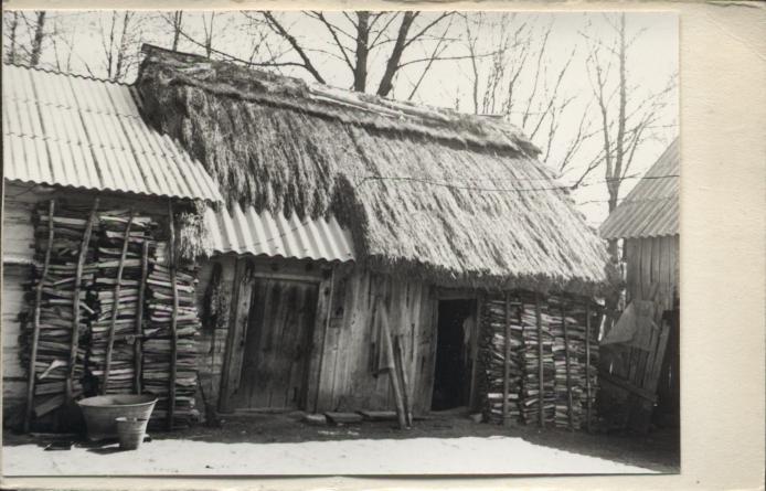 obora, skan 3