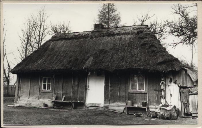 dom, skan 3