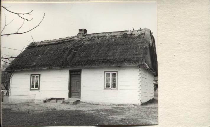 dom, skan 3