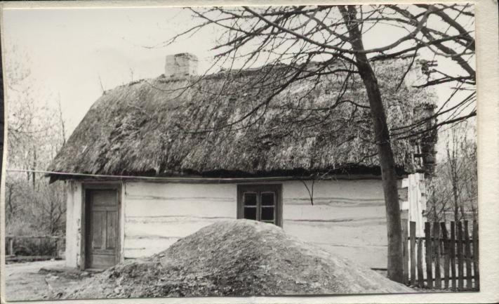 dom, skan 3