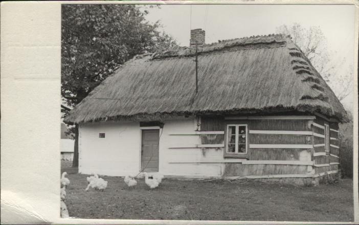 chałupa, skan 2