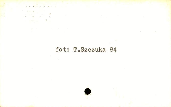 chałupa, skan 2