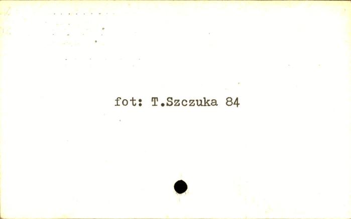 komora, skan 2
