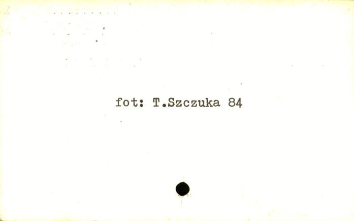 chałupa, skan 2