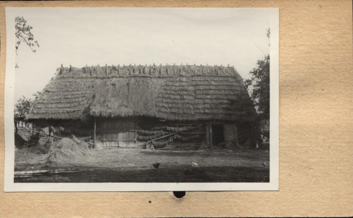 stodoła, skan 2