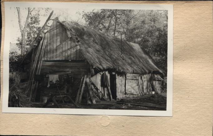obora, skan 2