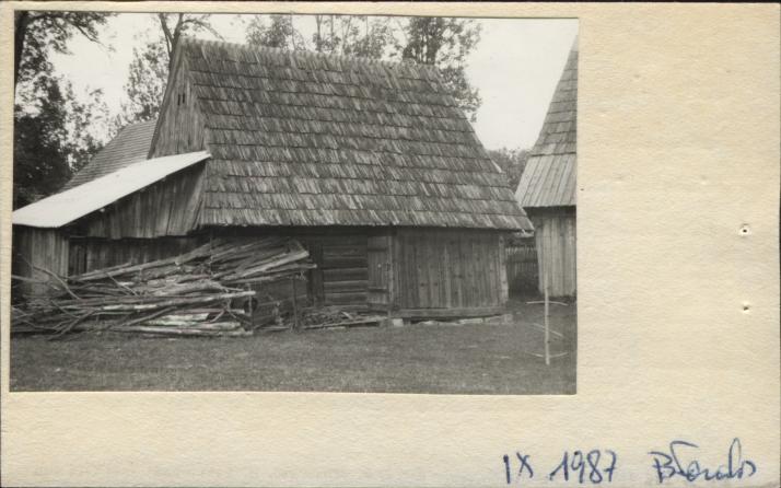 stajnia, skan 2