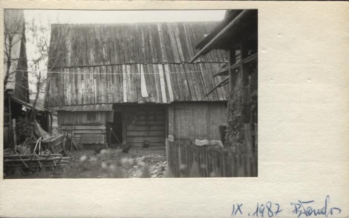 stajnia, skan 2