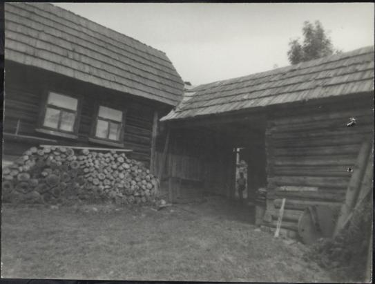 zagroda, skan 3