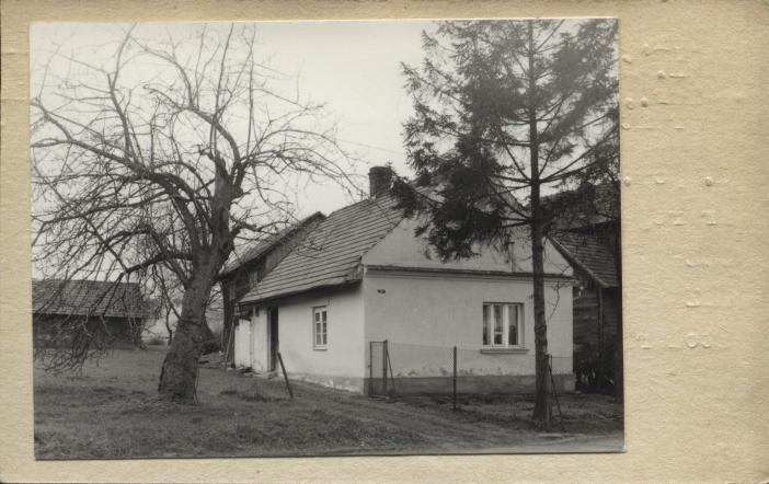 dom, skan 2