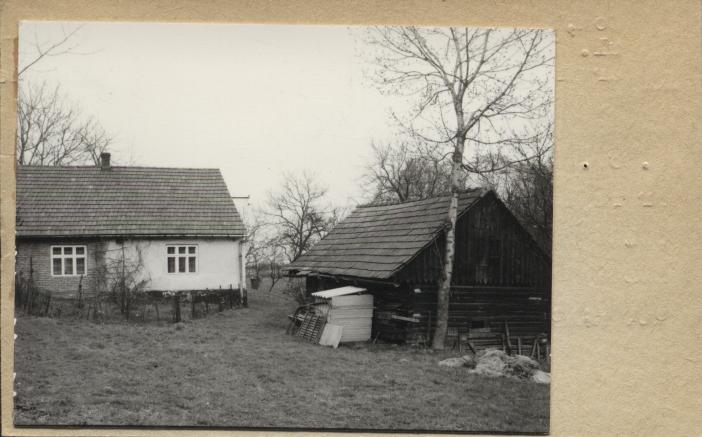 dom, skan 2
