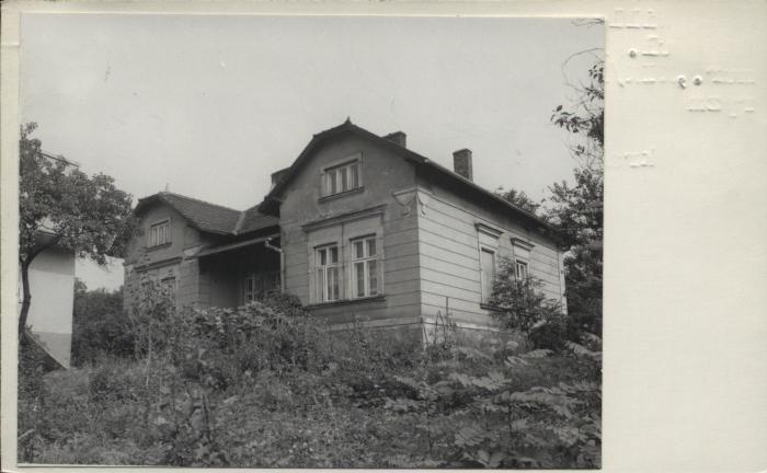 willa, skan 2