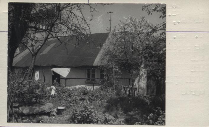 dom, skan 2