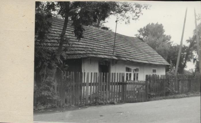 dom, skan 2