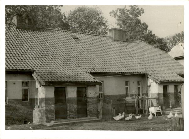 czworak, skan 3
