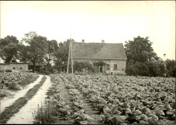 dom, skan 3