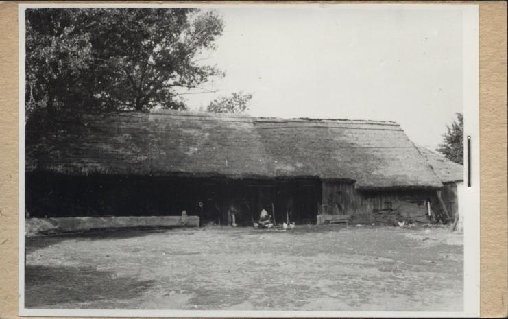 stodoła, skan 2
