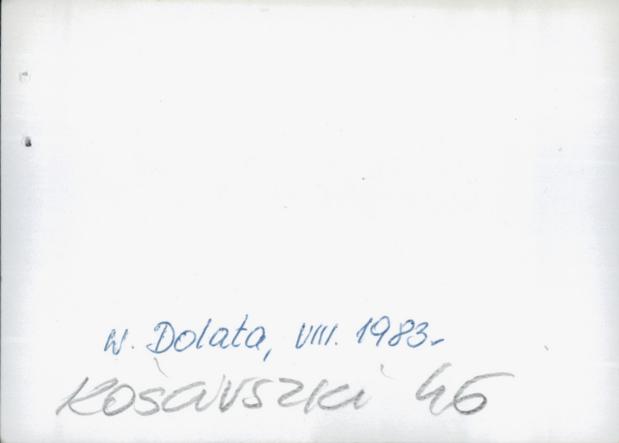 dom, skan 3