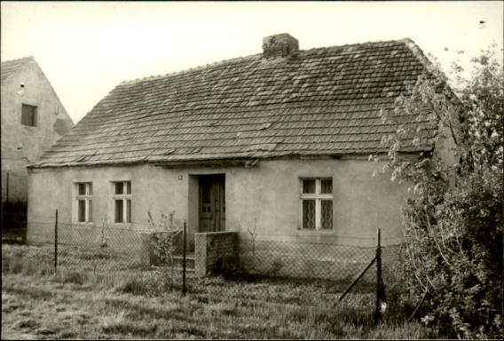 dom, skan 2