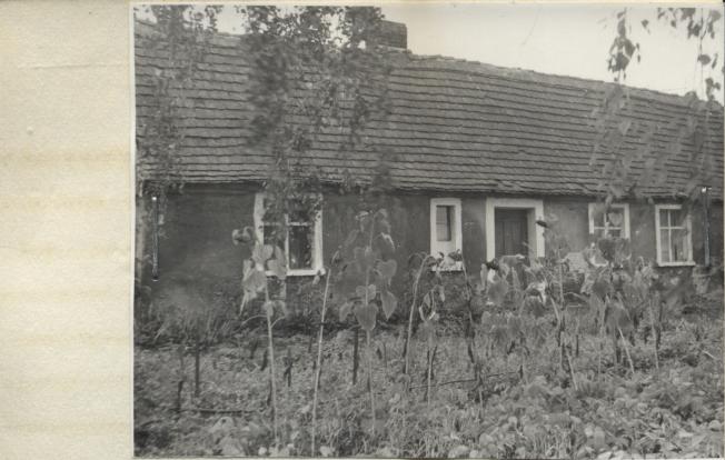zagroda, dom, skan 2