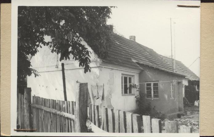dom, skan 2