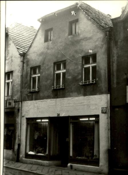 dom, skan 5