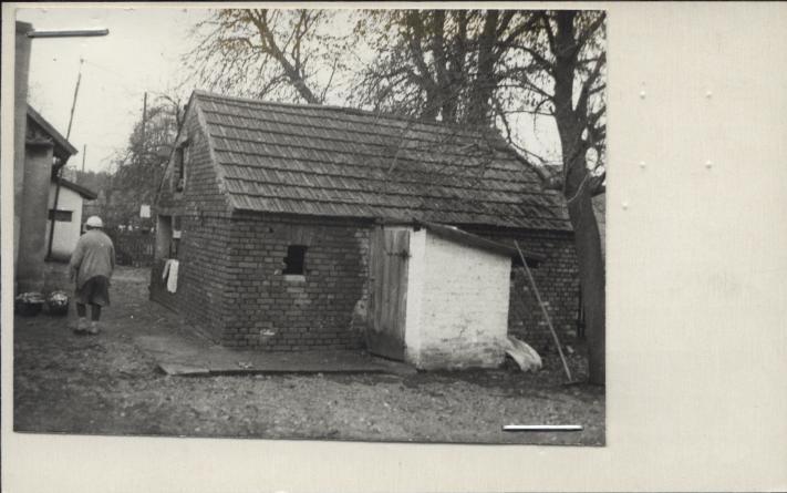 chlewnia, skan 2