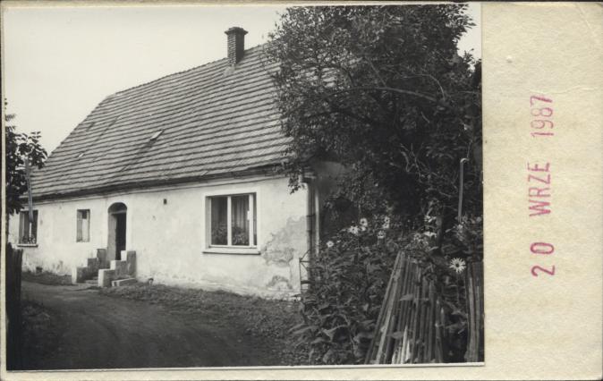 dom, skan 2