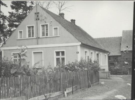 dom, skan 3