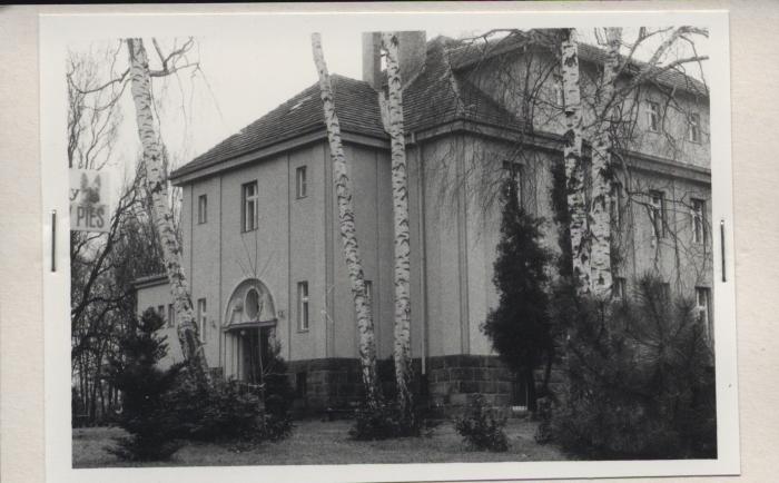 willa, skan 2