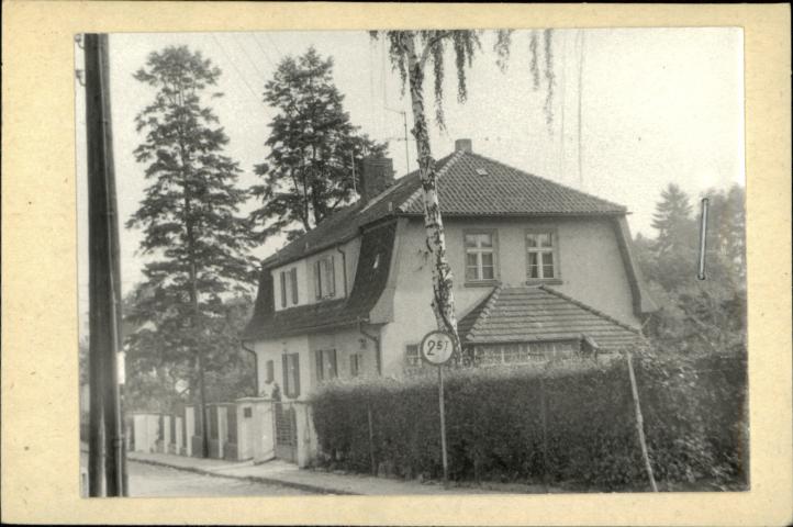 dom, skan 3