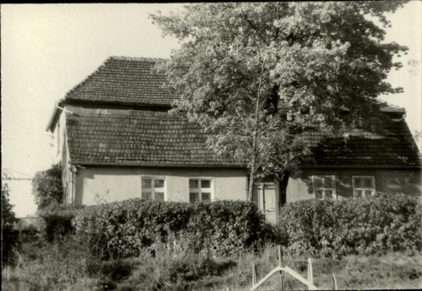 dom, skan 3