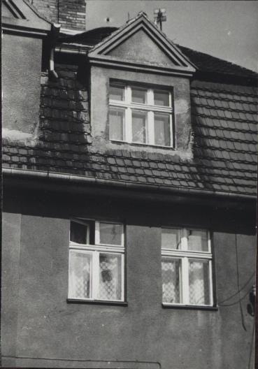 dom, skan 3