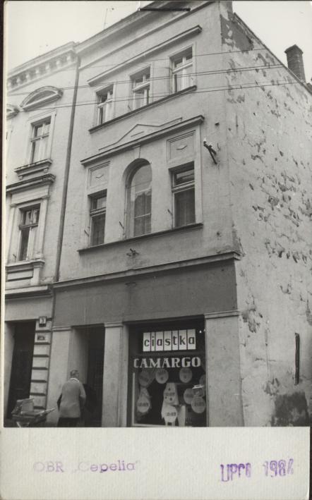dom, skan 2