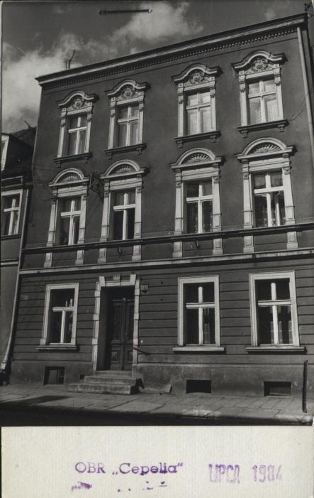 dom, skan 2