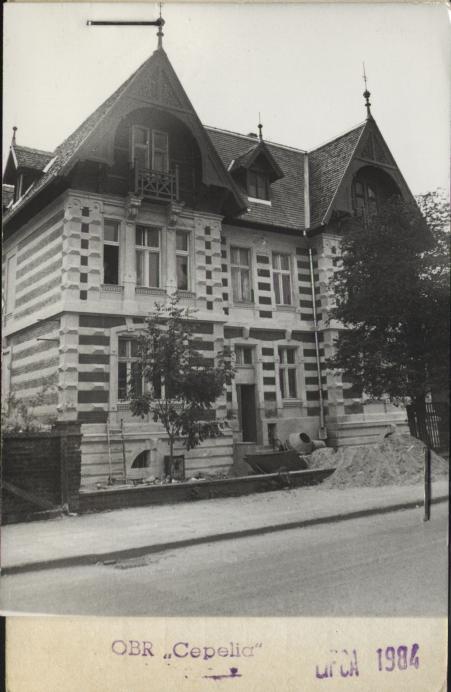 dom, skan 2