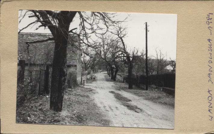 aleja kasztanowa, skan 2