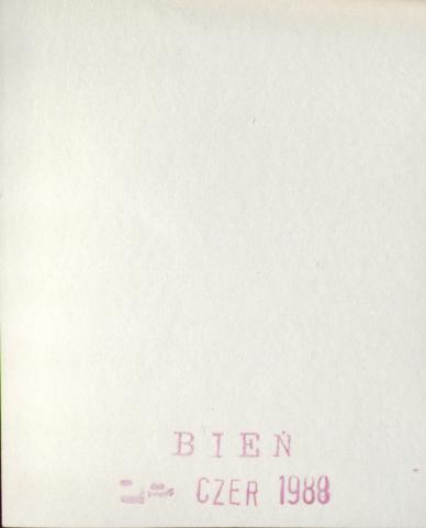 dom, skan 3