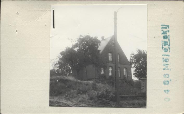 willa, skan 2
