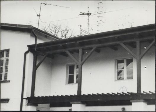 oranżeria, skan 6