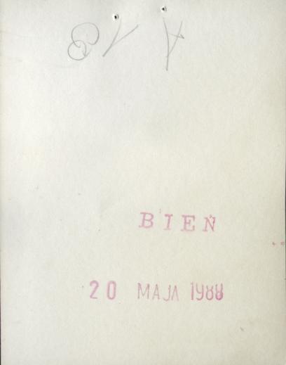 dom, skan 5