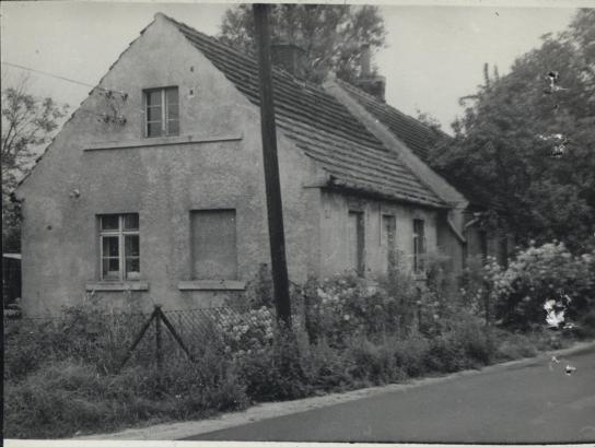 dom, skan 3