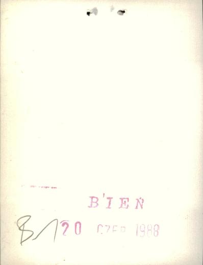 dom, skan 3