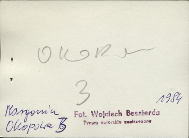 dom, skan 3