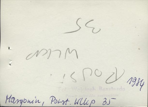 dom, skan 3